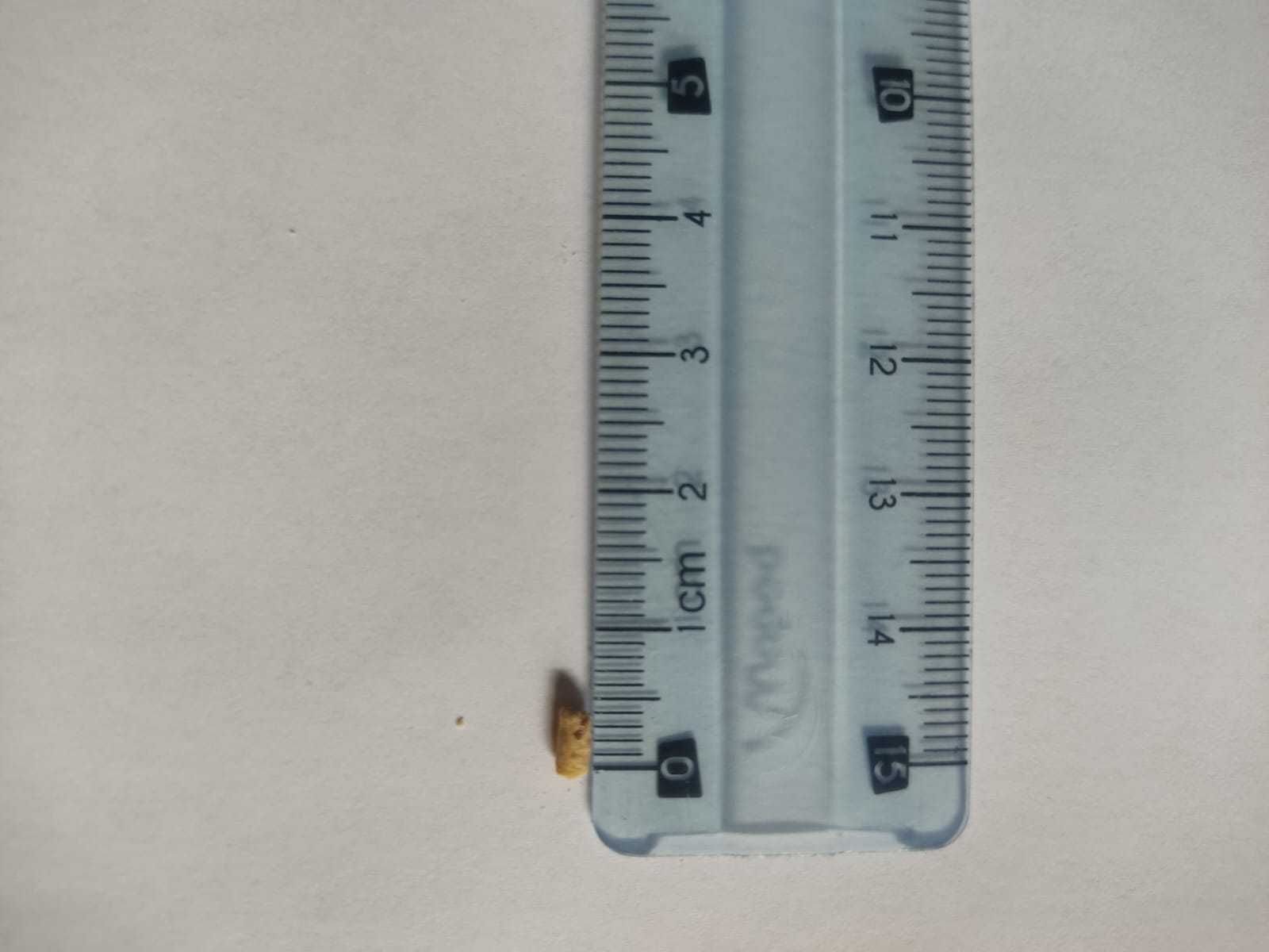 Prestarter Nioska Odchów Zielona Zagroda Mikrogranulat 10kg De Heus