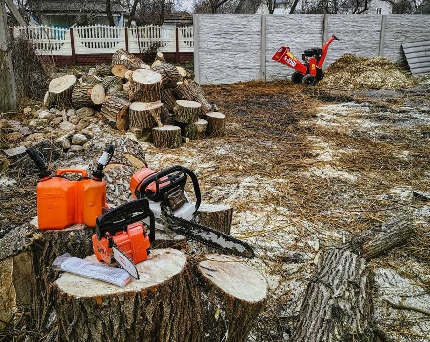 Недорого Спил дерева Расчистка Покос уборка Выкорчёвка Вывоз