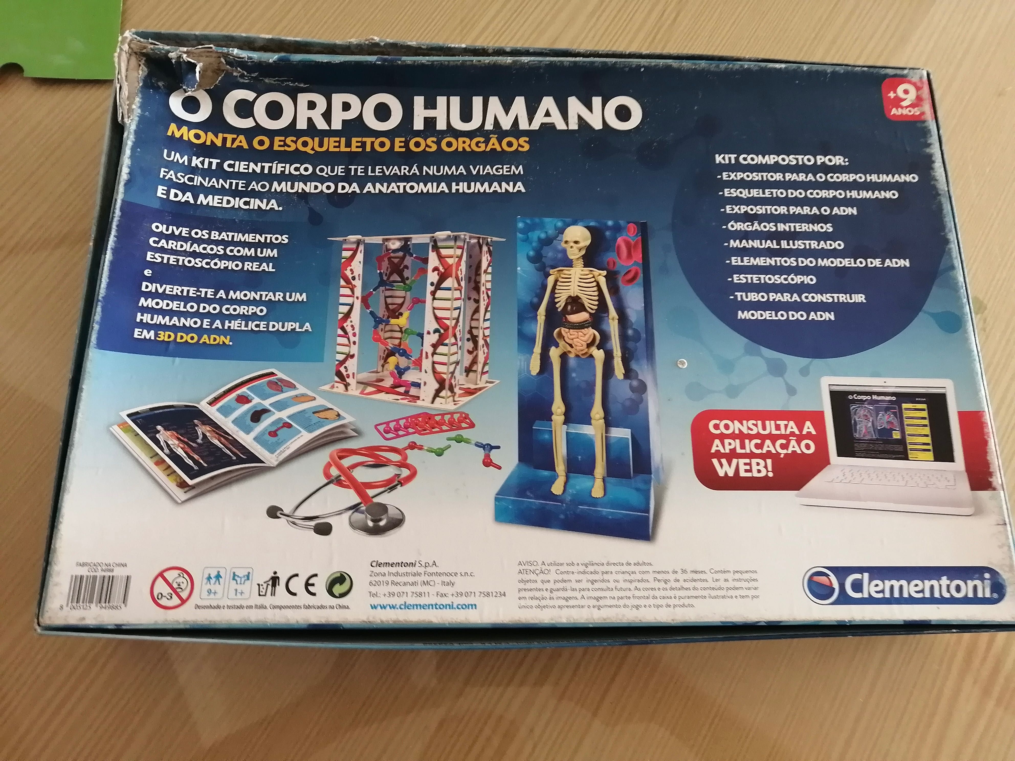 jogo temático o corpo humana