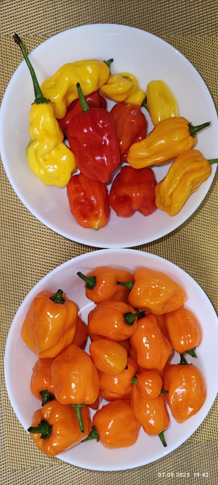 Острый перец сухой