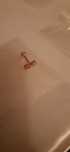 Piercings umbigo e orelha selados