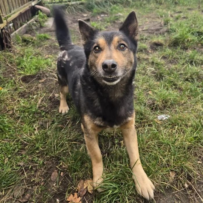 Max. Kto uratuje go przed tragedią???