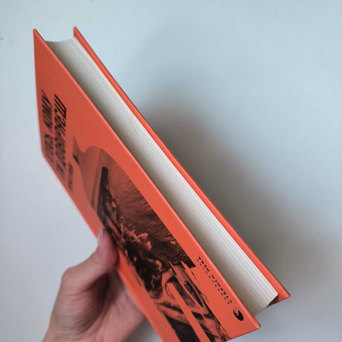 Книга Рейчел Раян "Хтось, кому ти довіряєш" / ВСЛ