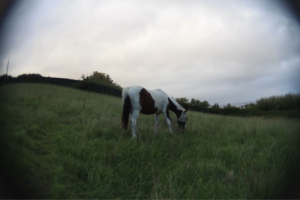 Objetiva Lensbaby Scout