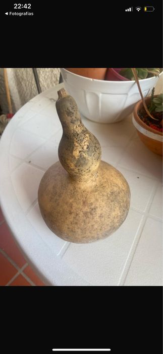 Cabaças para artesanato