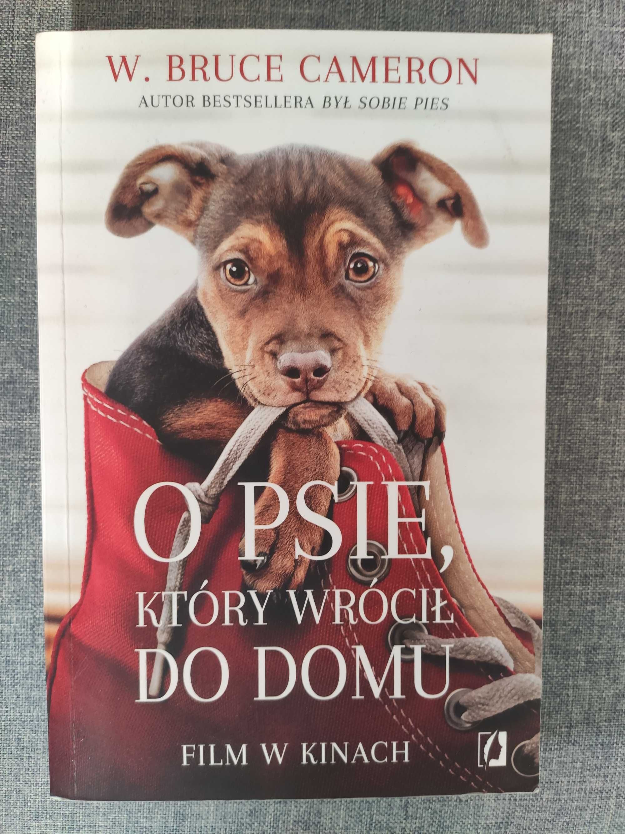 "O psie, który wrócił do domu", W. Bruce Cameron