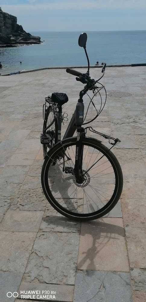 Bicicleta Elétrica Wayscral Everyway E250 28"