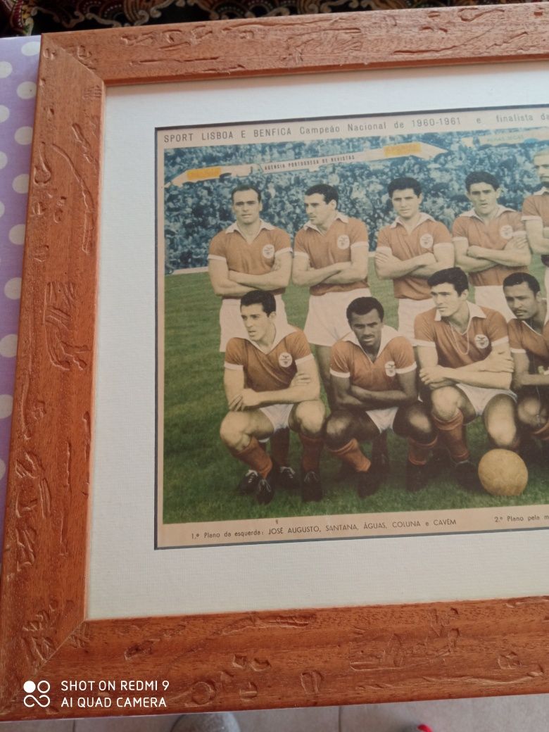 Quadro Benfica anos 60