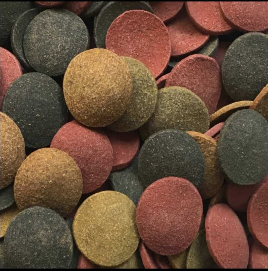 Amtra pro chips 'pastilhas para peixes de fundo
