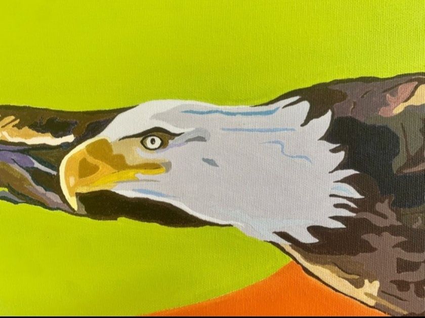 Águia em bicolor (Eagle on Bicolour)