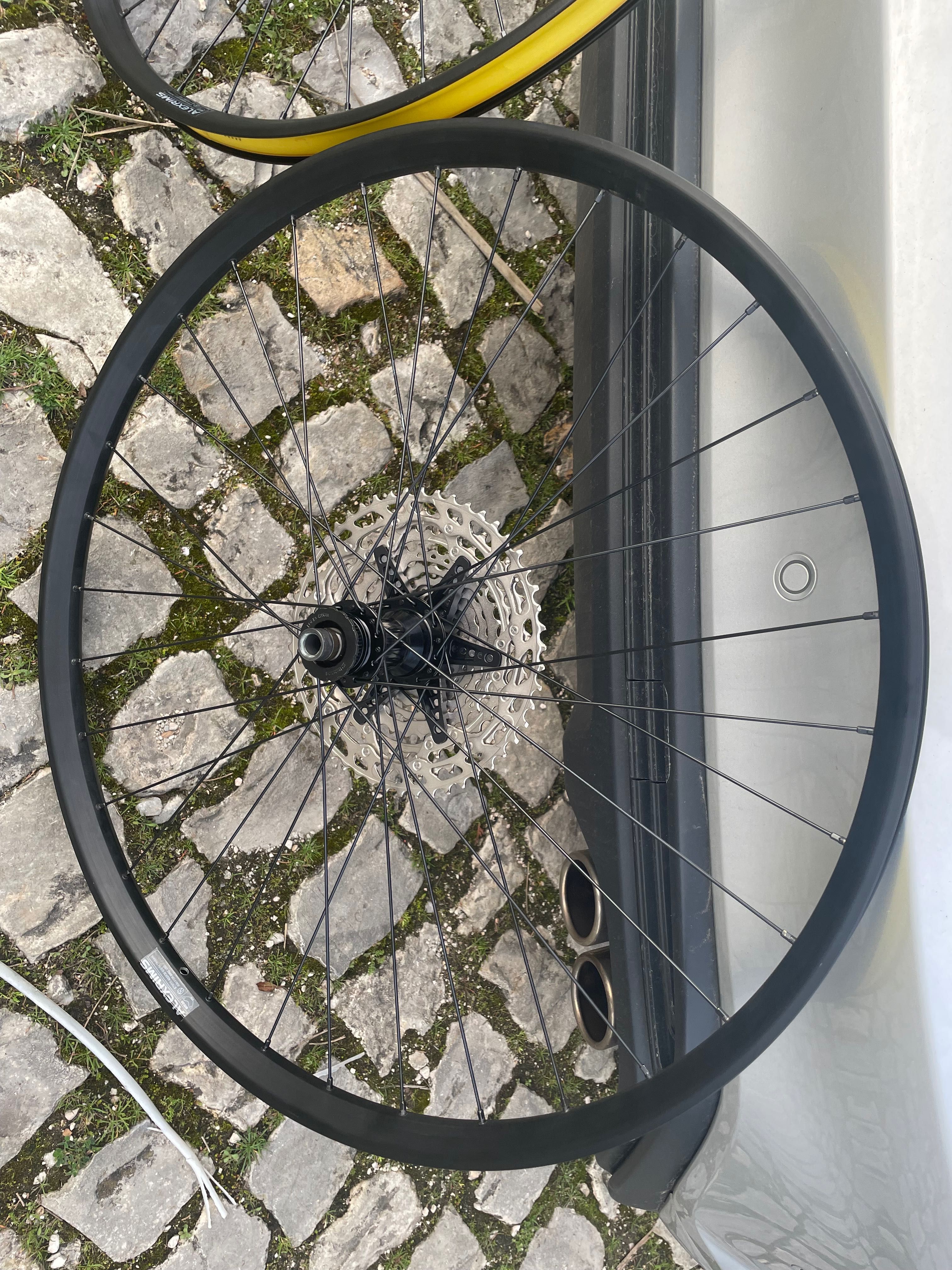 Rodas Btt Alex rims 29”