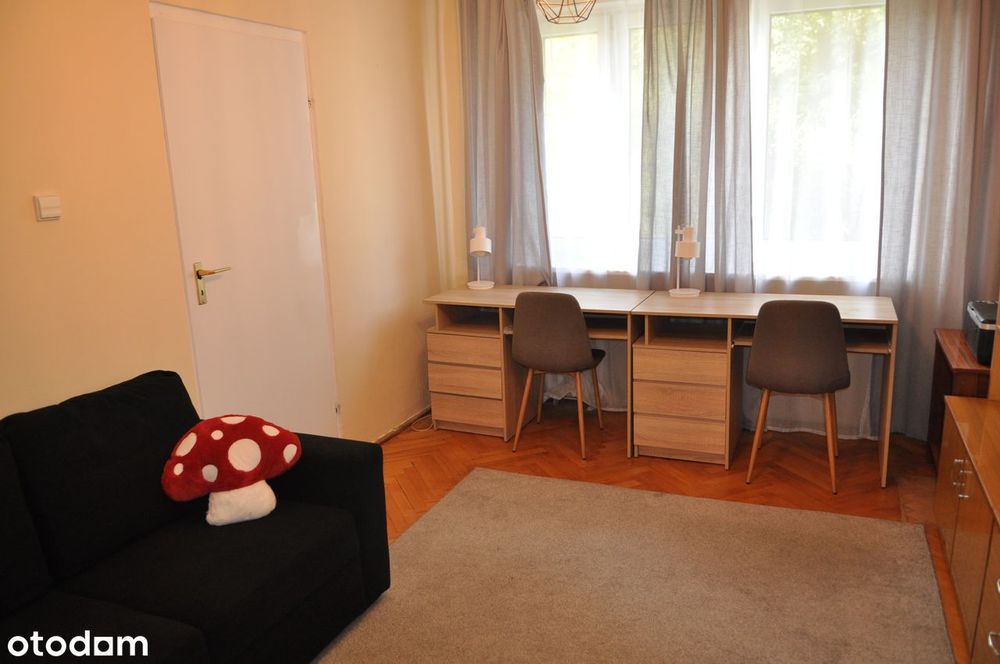 Pokój 1-osobowy lub dla pary przy UMK i Centrum Plaza, TANIO !