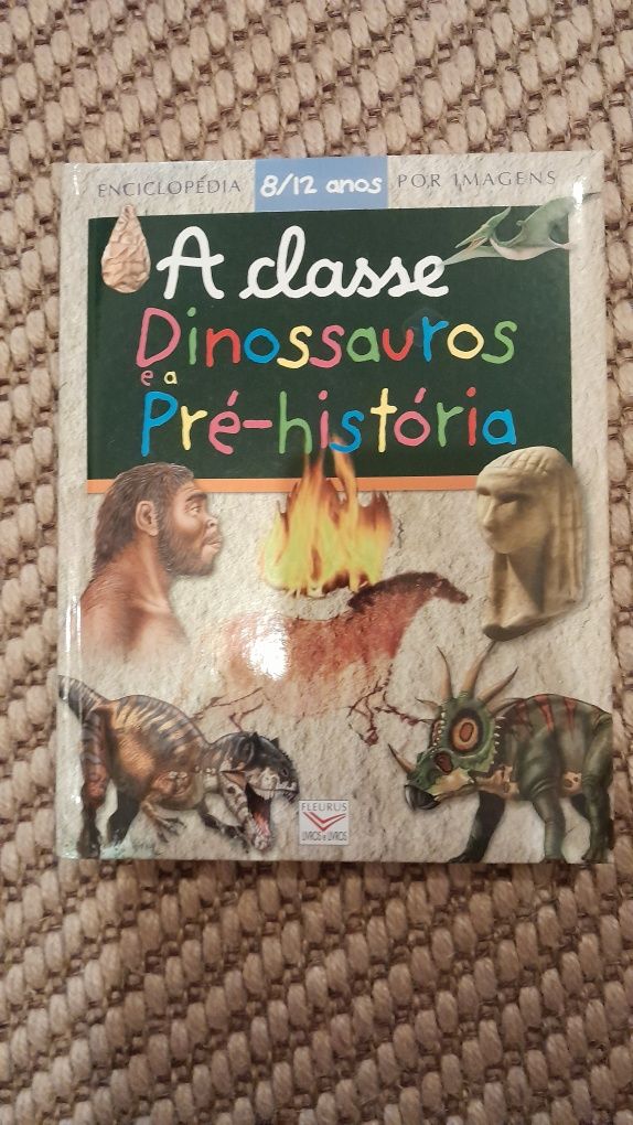 Classe, Dinossauros e a Pré-História – 8/12 anos