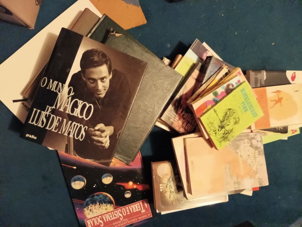 Livros lote 60 livros