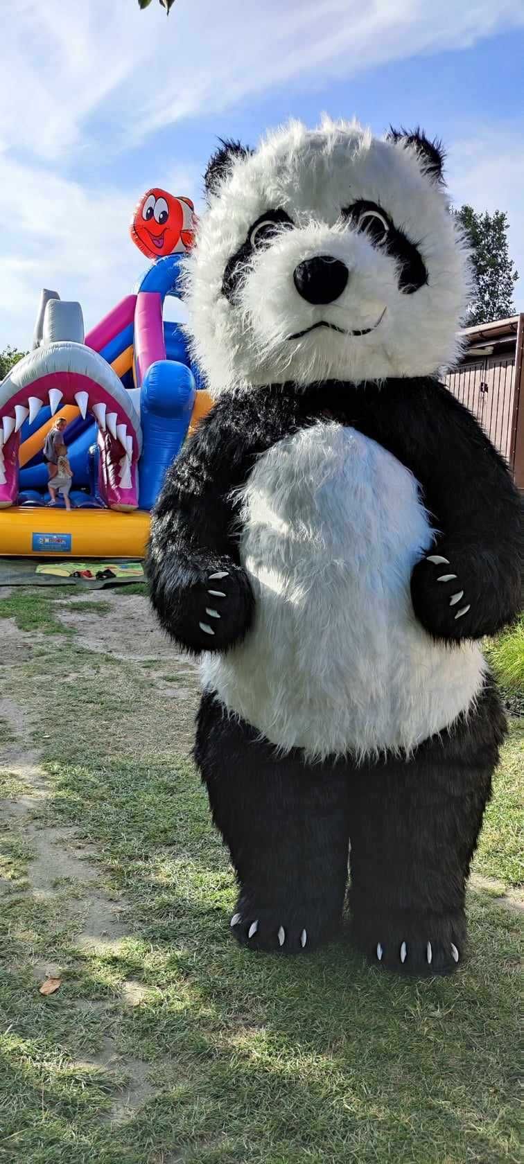 Dmuchaniec zjeżdżalnia wynajem, żywa maskotka Panda