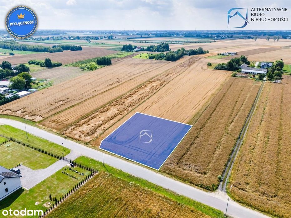 Zawieprzyce gm. Spiczyn - Działka budowlana