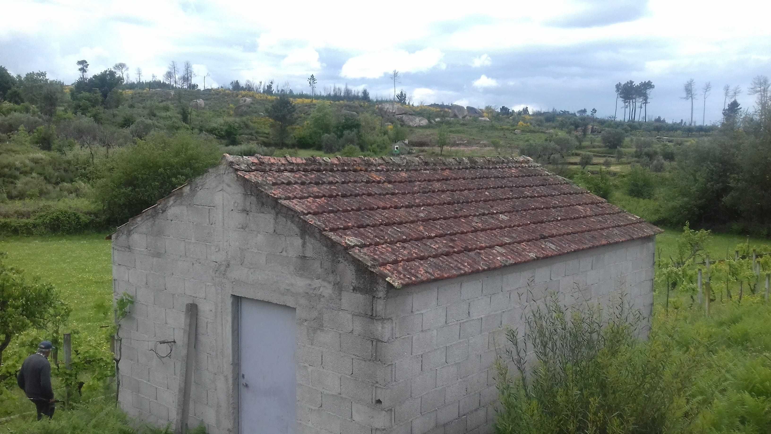 QUINTA COM CASA ,( poço e vinha zona vinícola  do DÃO)