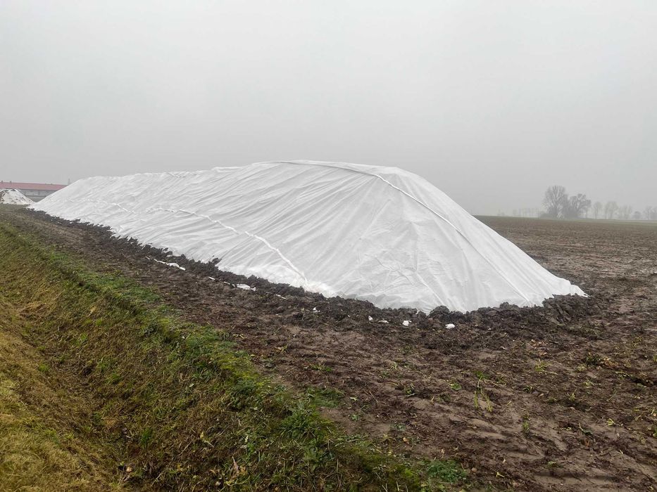 NaturSorte Agrowłóknina na kopce  buraczane  110g/m² ( 9.60m x 25m )
