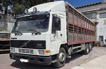 Volvo FL10 transporte animais Inox