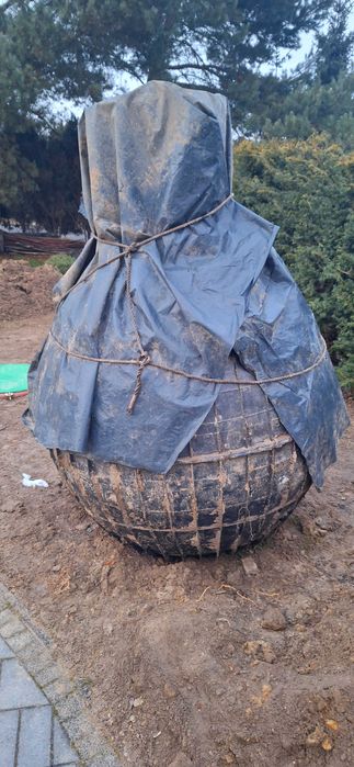 Przydomowa oczyszczalnia