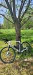 Rower szosowy / gravel Trek Domane AL4 gen. 4 rozm. 58 2024 nowy model