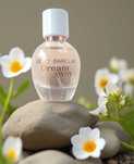 Perfumy Betty Barclay Dream Away woda toaletowa