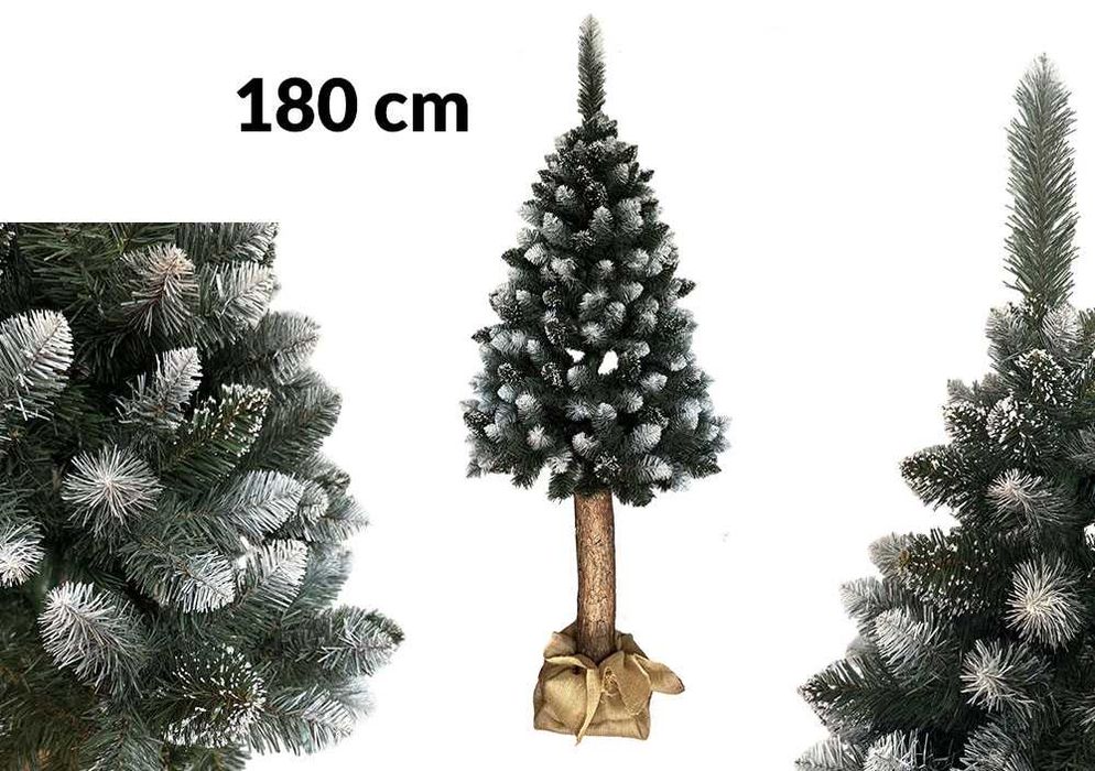 Sosna Diamentowa 180 cm – choinka na pniu, 200 | 220 | gęsta Ośnieżona