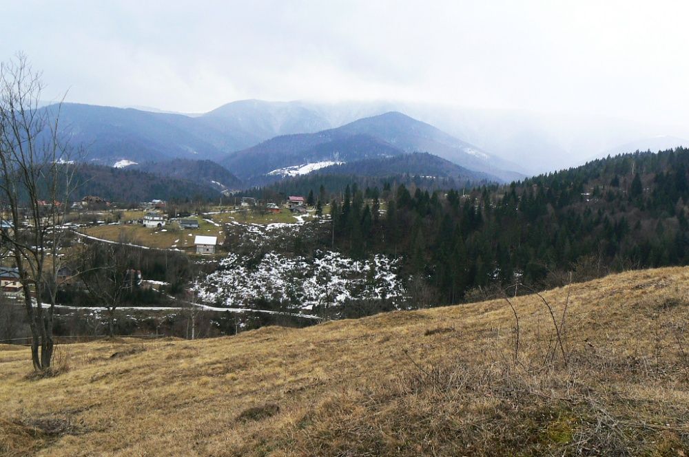 Продається земельна ділянка. Яремче. Ціна договірна