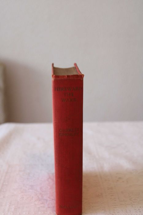 "HEREWARD THE WAKE" BY CHARLES KINGSLEY, 1ª EDIÇÃO