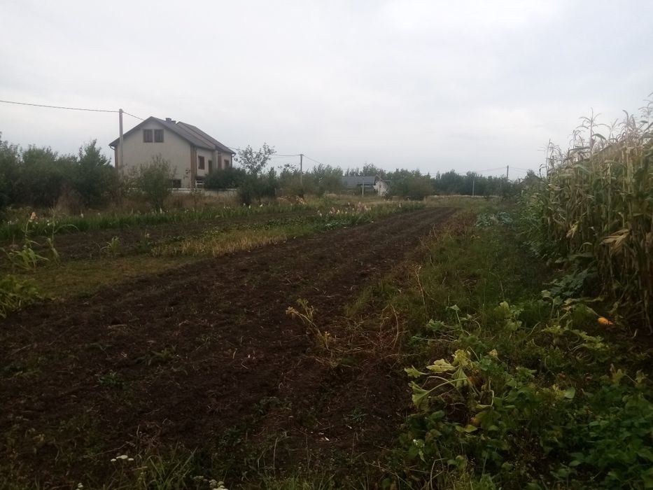 Оренда землі в Підпечерах