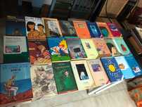 Alice Vieira, muitos livros, preço por livro, portes grátis.