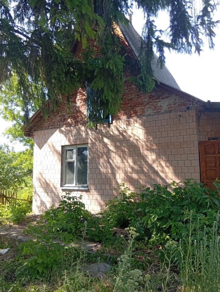 Продам дом в селі Нова гребля