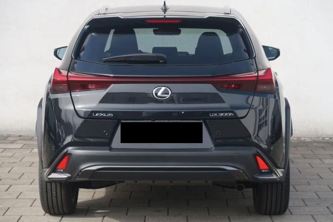 Lexus UX 300 h 2.0 Hybrid Dynamic