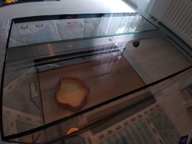 Terrarium szklane 60x40x30 cm na żółwia lądowego lampy