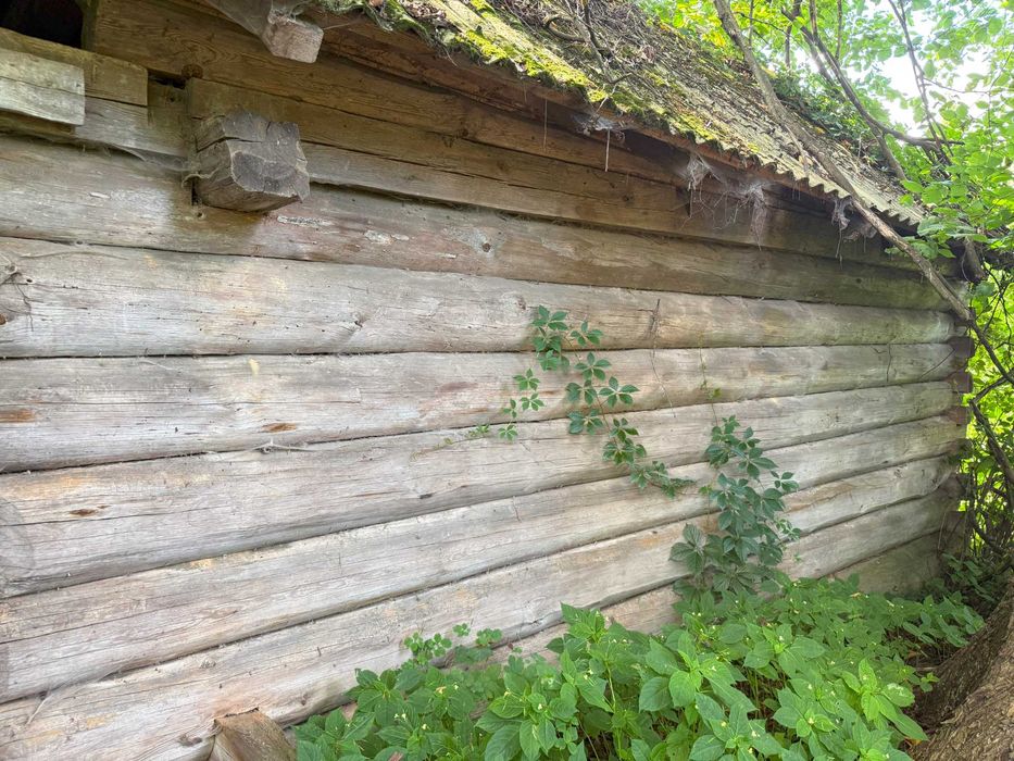 Stodola drewniana z bali do rozbiorki