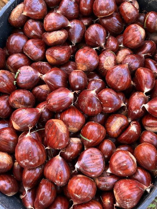 Vendo castanhas transmontanas