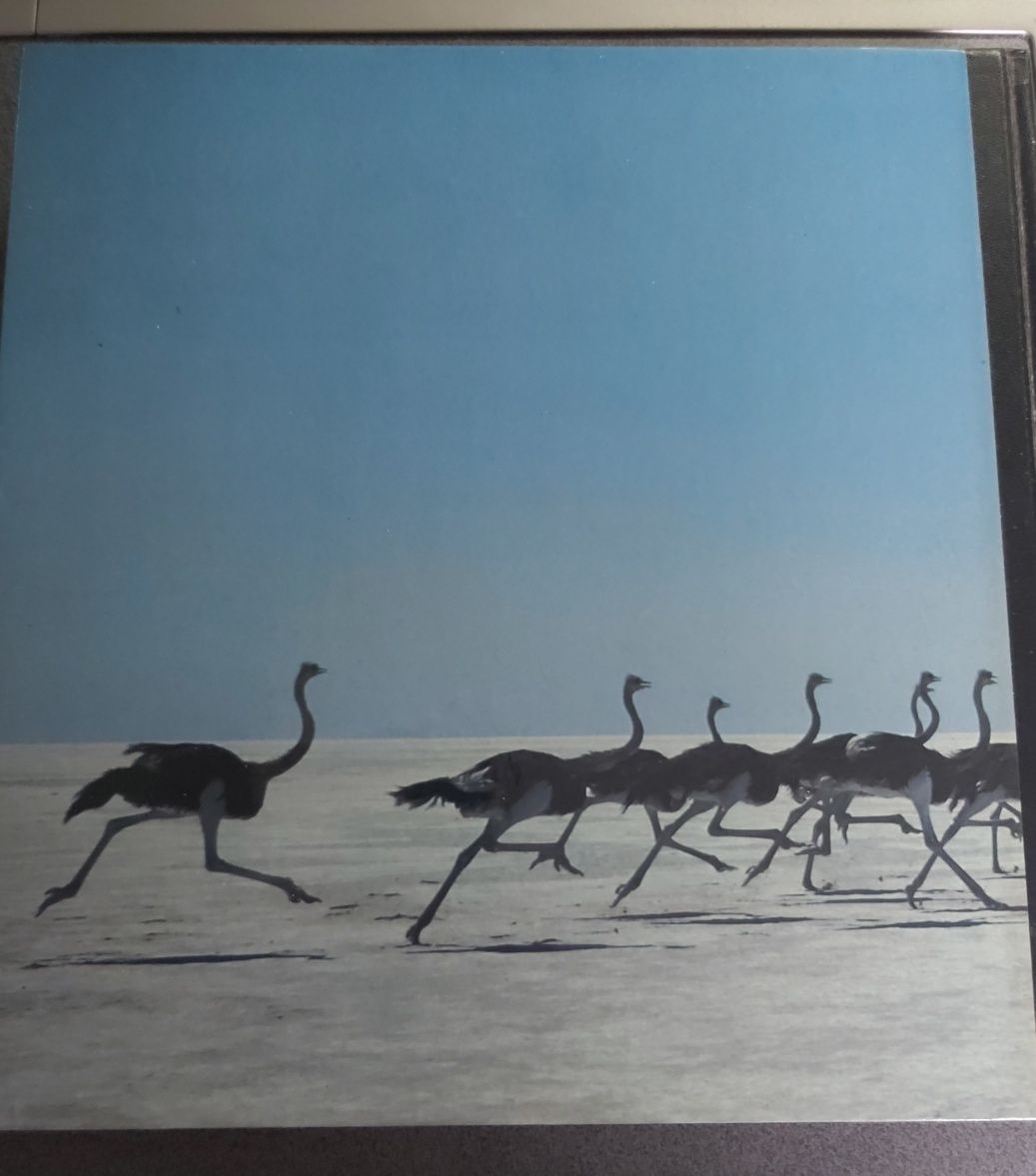 O PLANETA VIVO – David Attenborough