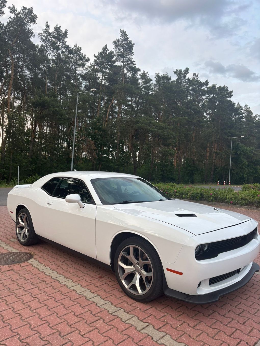 Dodge Challenger Dodge Challenger 3.6 V6 SXT PLUS