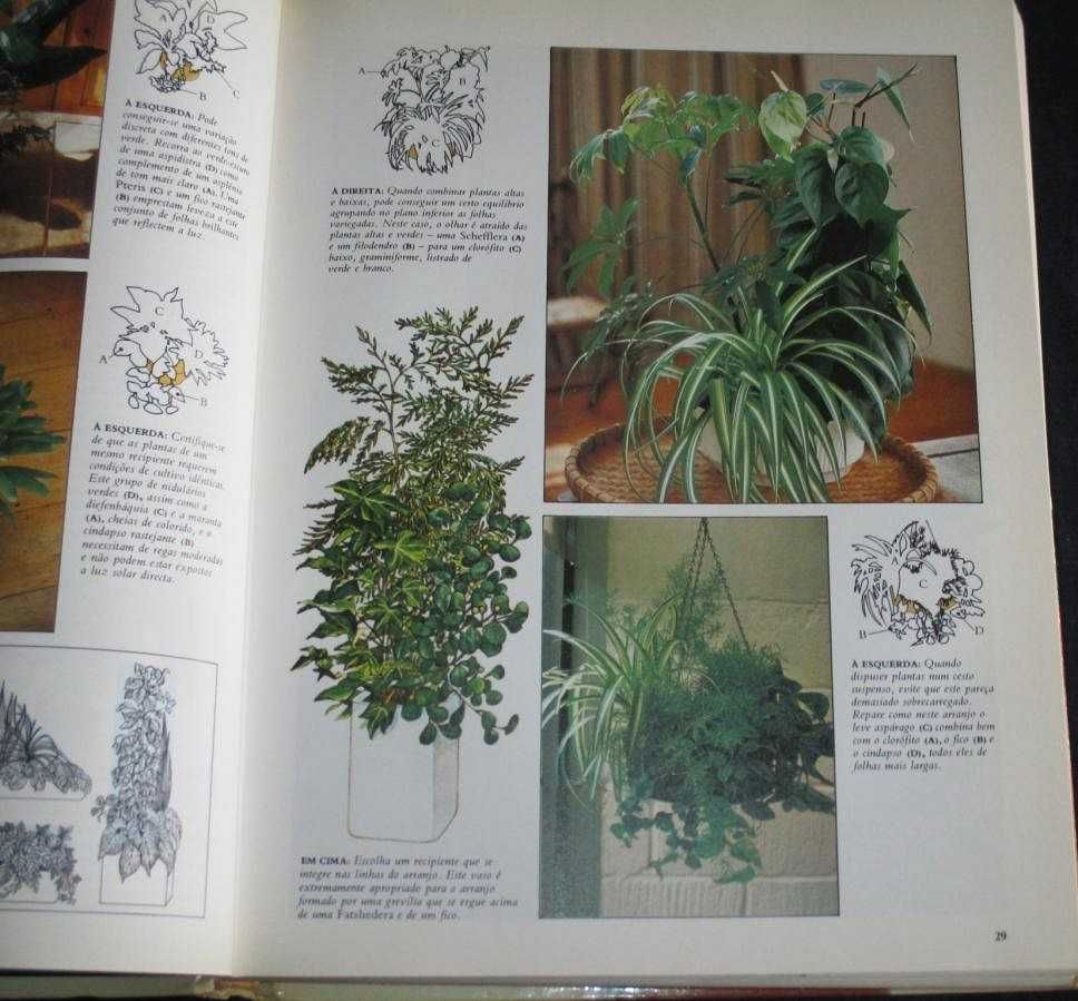 O Grande Livro das Plantas de Interior