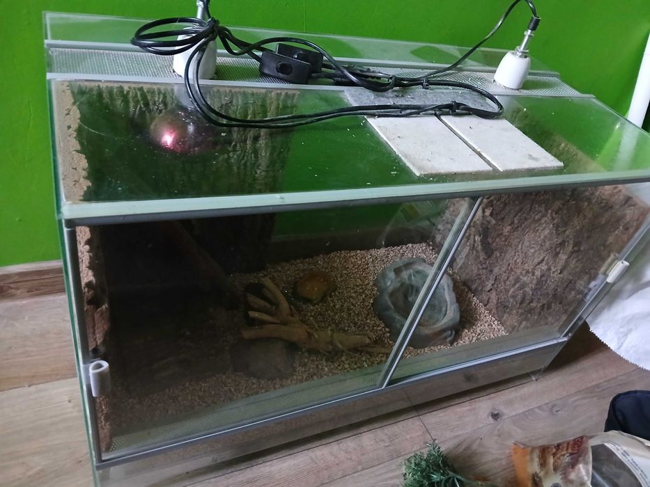 Sprzedam Terrarium
