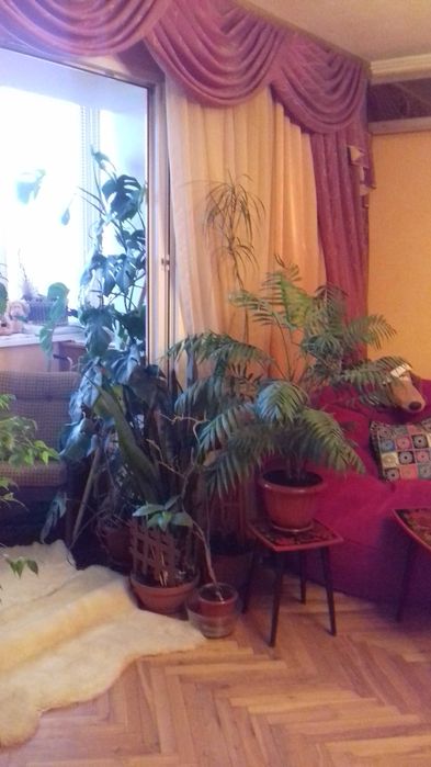 Продаж 3-кімнатної квартири в самому центрі Броварів.