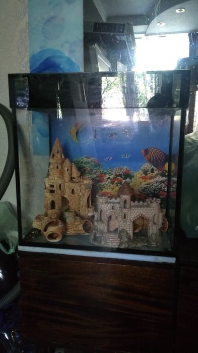 Аквариумы разного объема