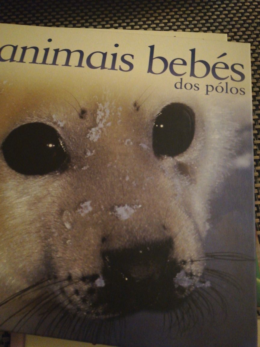 Colecção de livros "Animais bebés"