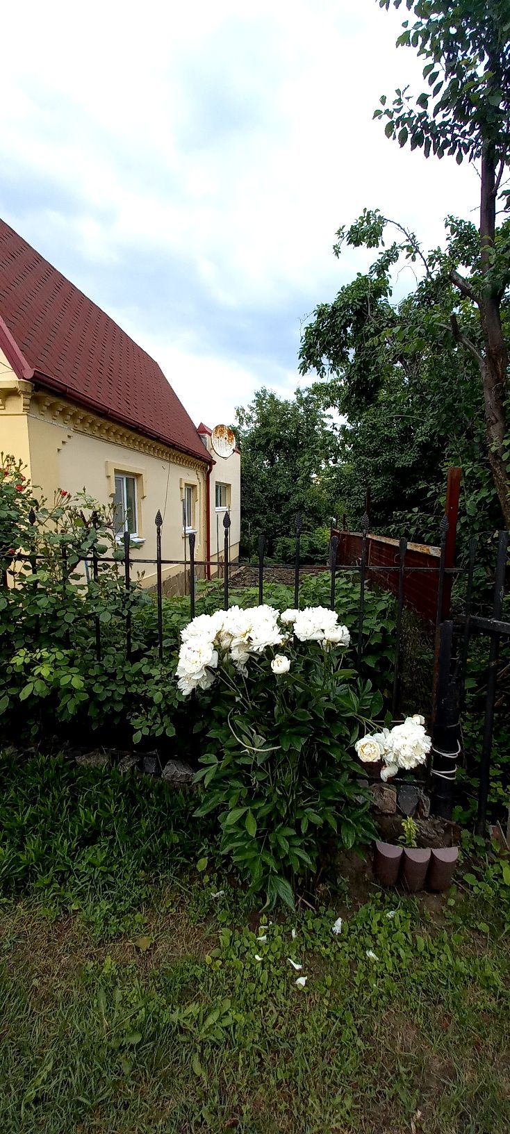 Продам дом/дачу.Ямбург(Днепровое),Сажевка,Старые кодаки,Новоалександро