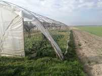 Tunel foliowy konstrukcja 7,5x30m