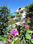 Casa das Flores Serra da Estrela
