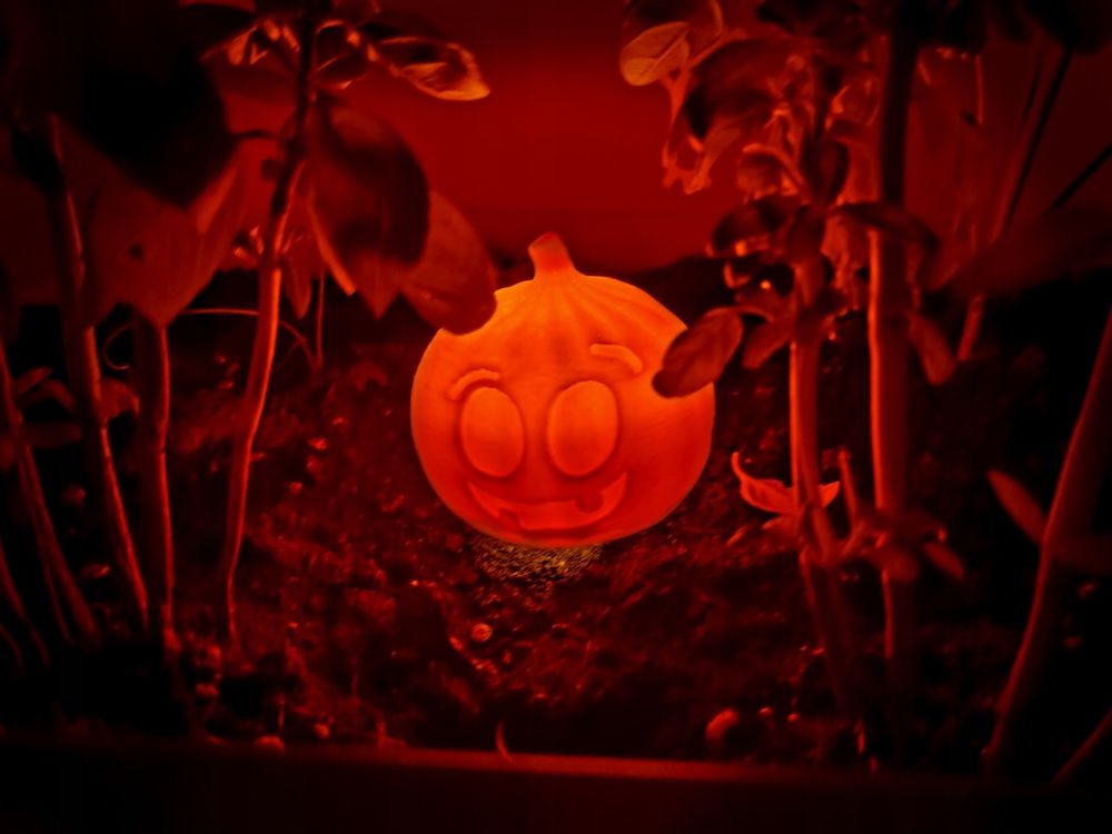 Lampki led Halloween hit