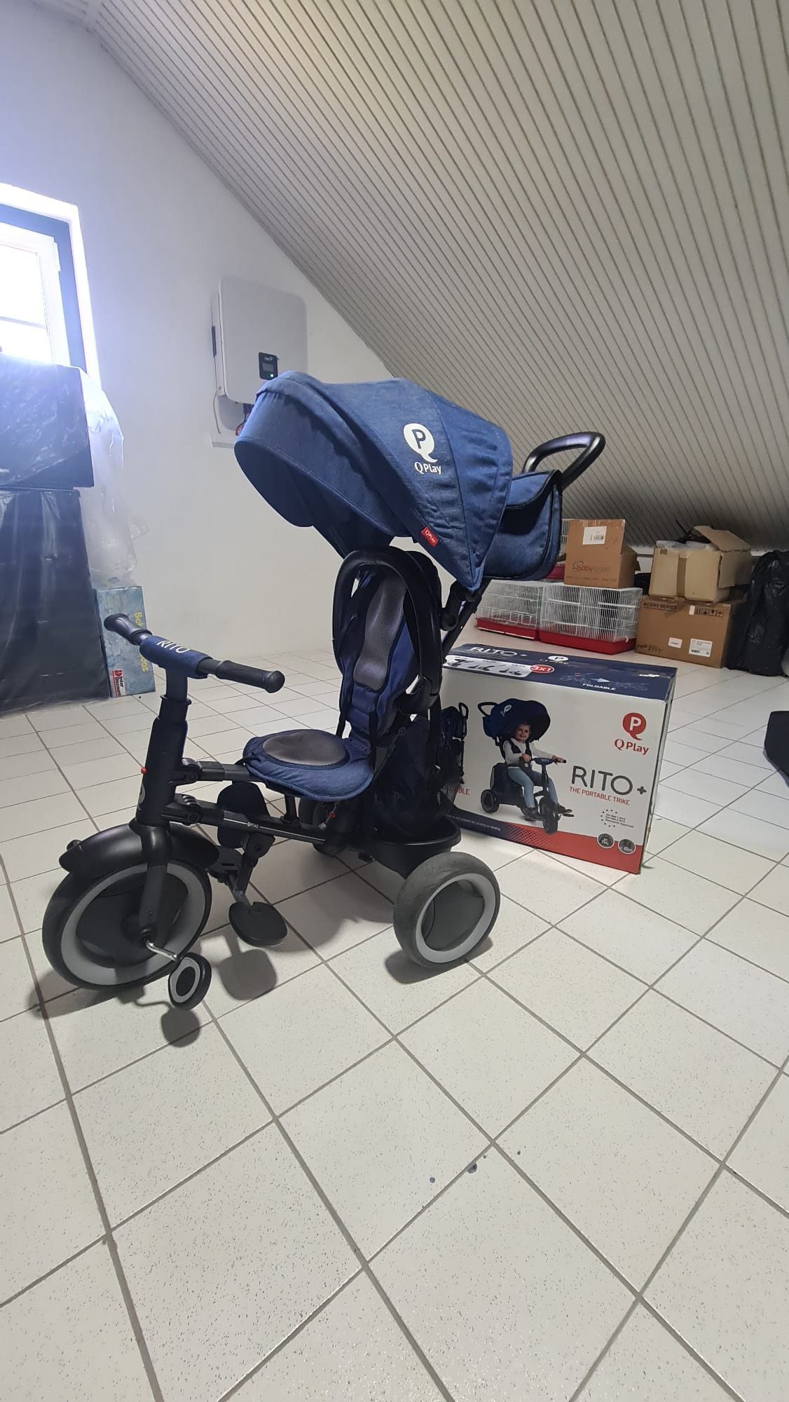 Triciclo evolutivo