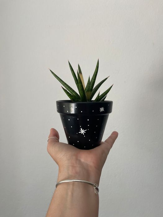 Vaso de cerâmica pintado à mão com cato