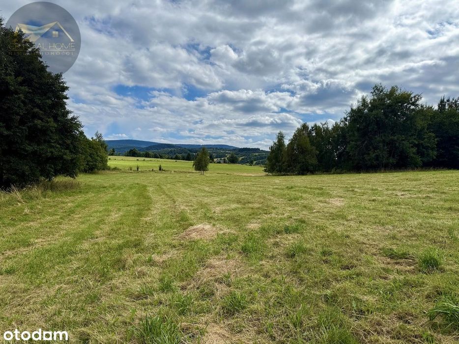 Działka 4025 m² z warunkami zabudowy – Boreczna